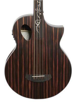 Michael Kelly Dragonfly 4 Port Java Ebony Fretless Acoustic Electric Bass Guitar
